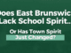 Does East Brunswick Lack School Spirit… Or Has Town Spirit Just Changed?